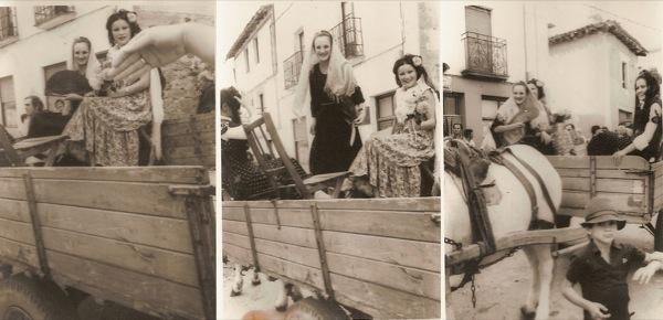 Fotografía de la galería de imágenes con id: 1050
