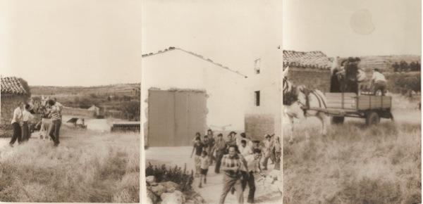 Fotografía de la galería de imágenes con id: 1051